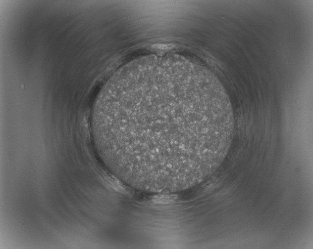 X0000064740373200603031714