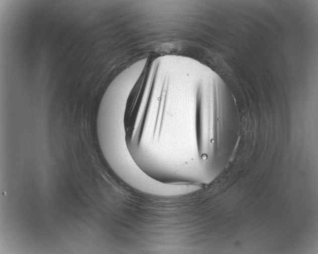 X0000064740375200603031714