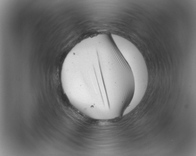 X0000064740376200603031714