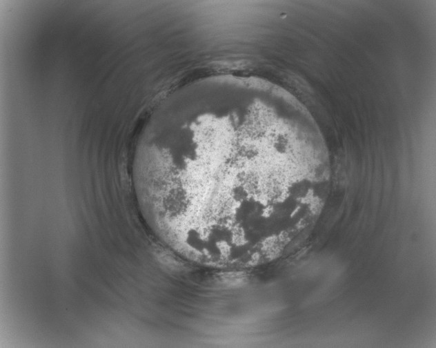 X0000064740377200603031714