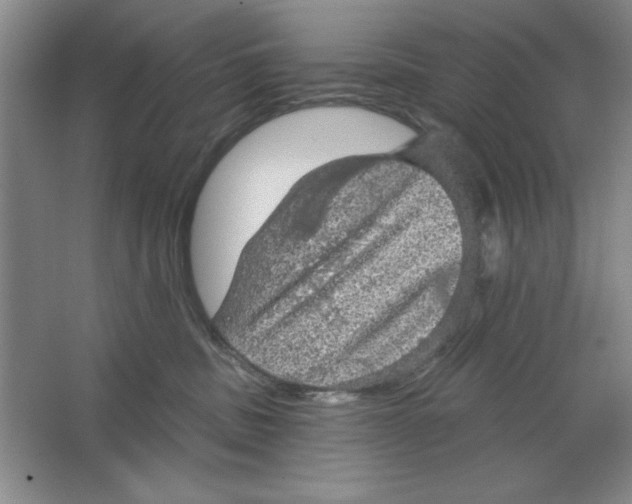 X0000064740379200603031714