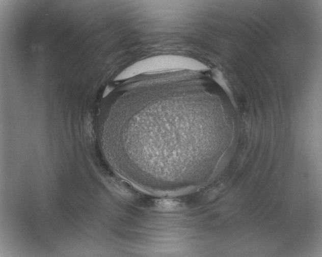 X0000064740380200603031714