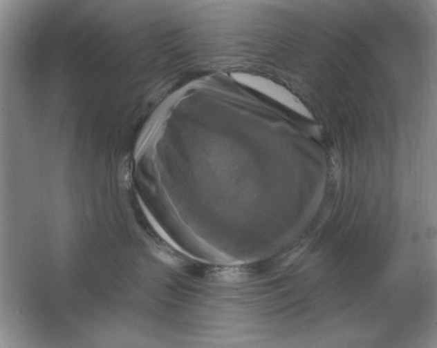 X0000064740383200603031714