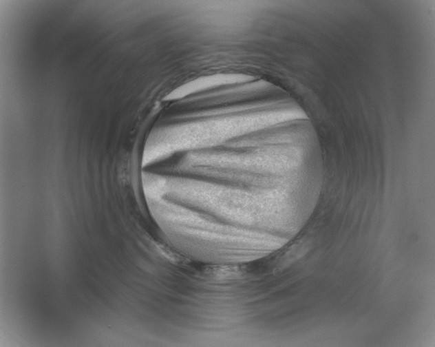 X0000064740384200603031714