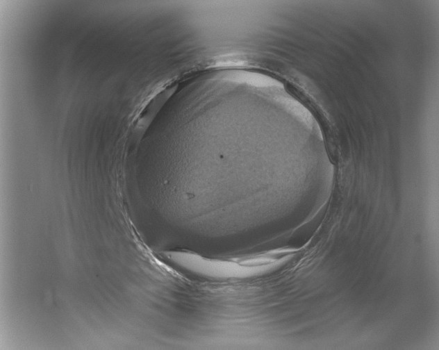 X0000064740385200603031713