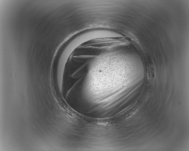 X0000064740388200603031713