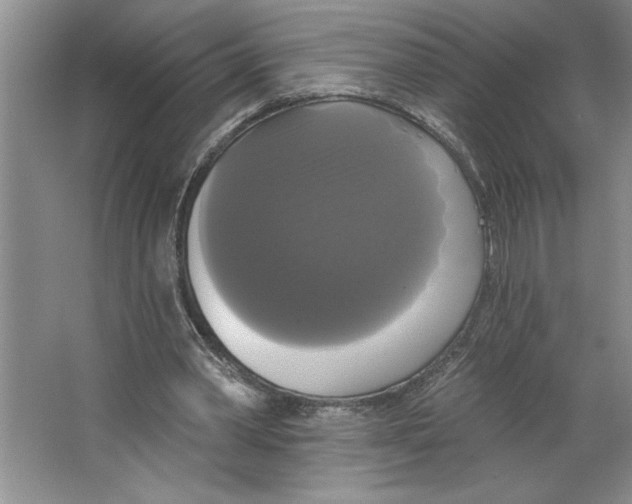 X0000064740390200603031713