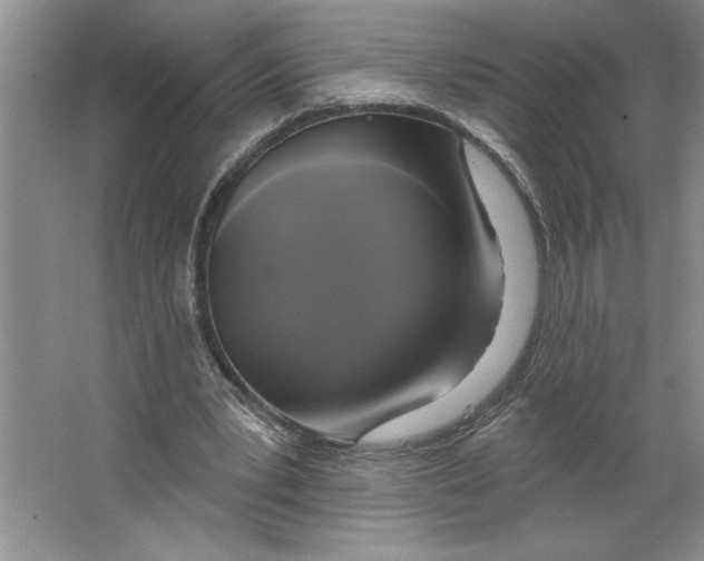 X0000064740391200603031713