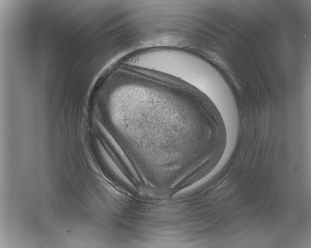 X0000064740392200603031713