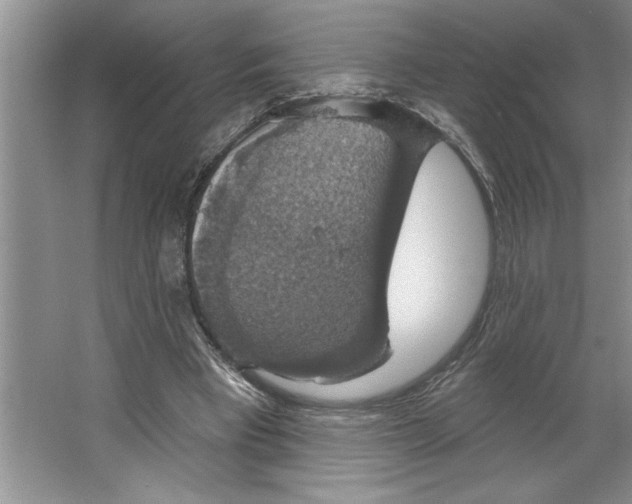 X0000064740393200603031713