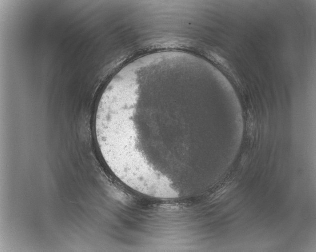 X0000064740394200603031713