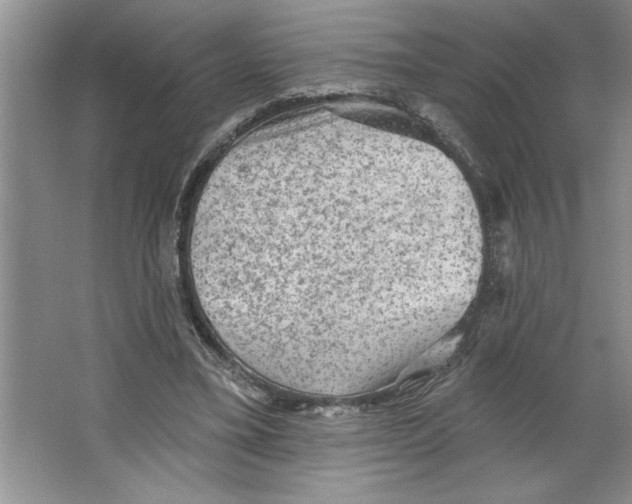 X0000064740395200603031713