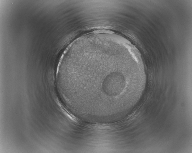 X0000064740397200603031713