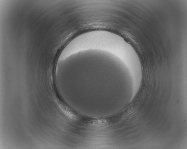 X0000064740398200603031713