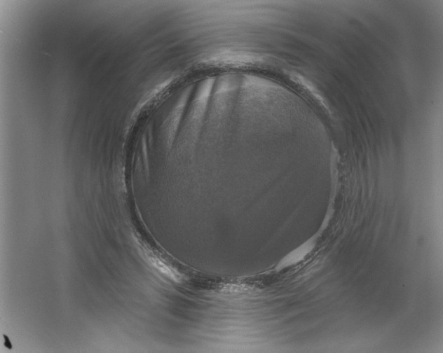 X0000064740399200603031713