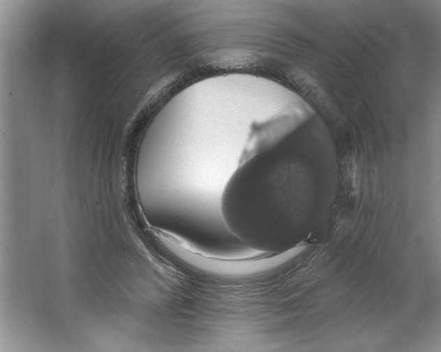 X0000064740400200603031713