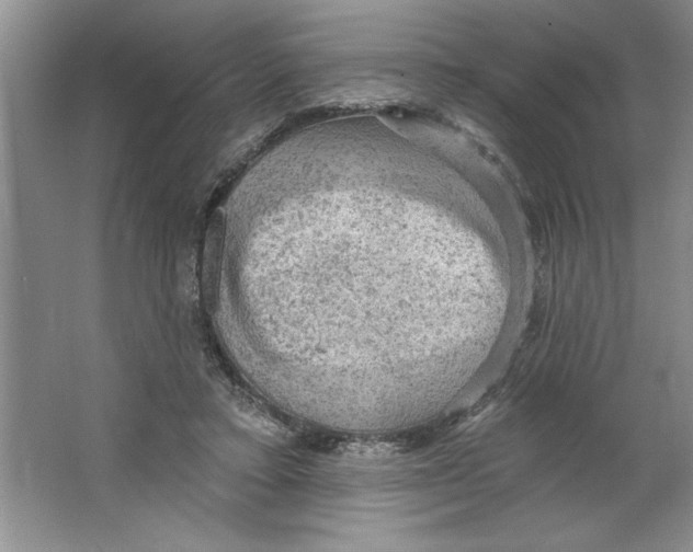 X0000064740403200603031713