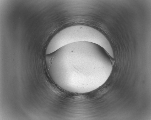 X0000064740411200603031713