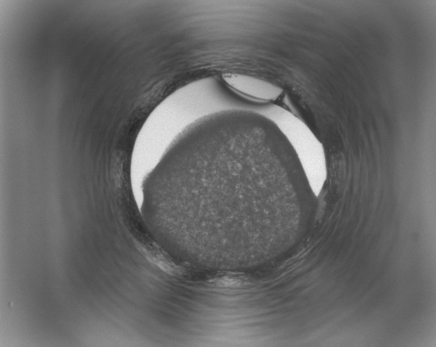 X0000064740412200603031712