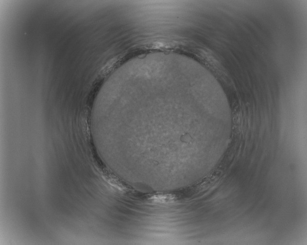 X0000064740415200603031712