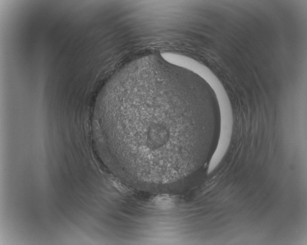 X0000064740416200603031712