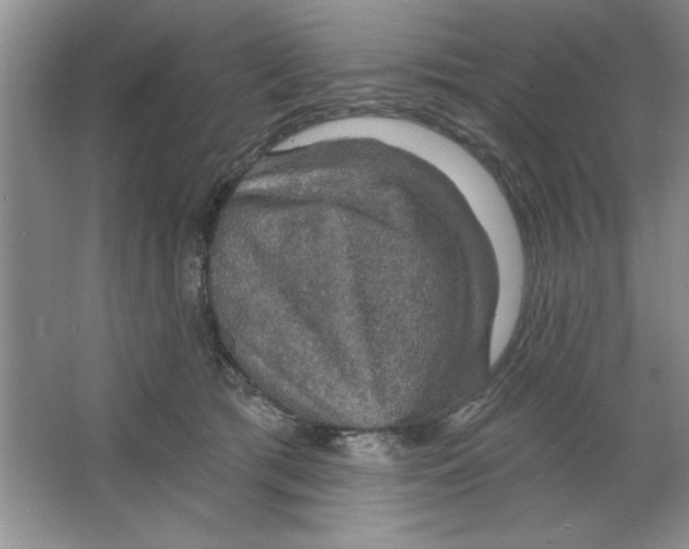 X0000064740417200603031712