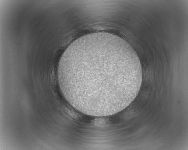 X0000064740418200603031712