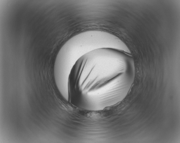 X0000064740419200603031712