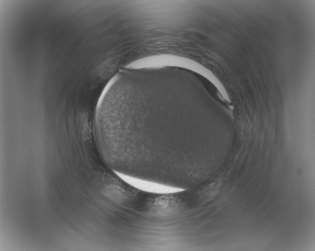 X0000064740420200603031712