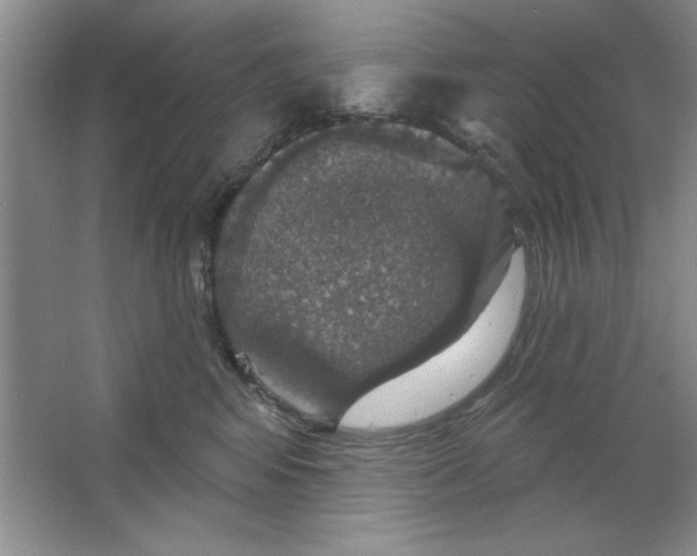 X0000064740424200603031712