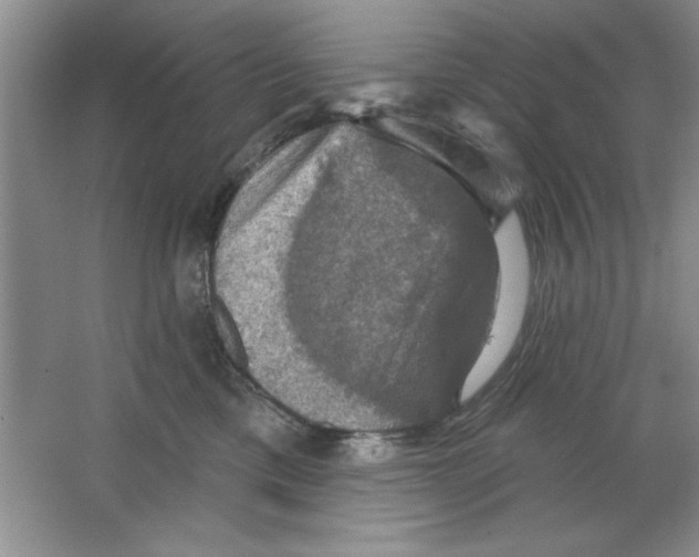 X0000064740425200603031712