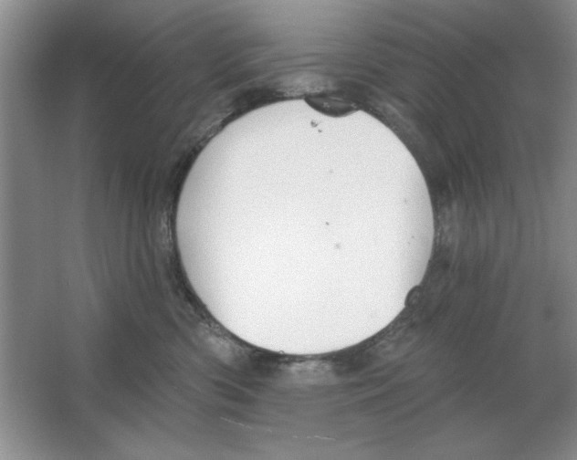 X0000064740426200603031712