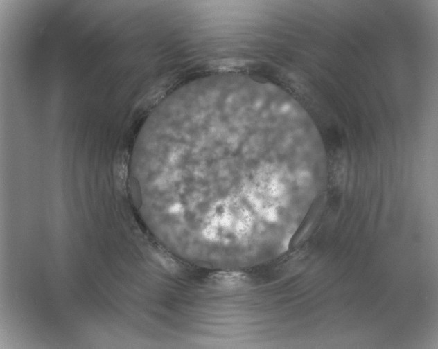 X0000064740427200603031712