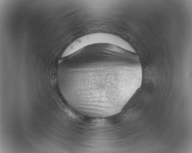 X0000064740428200603031712