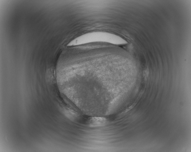 X0000064740429200603031712