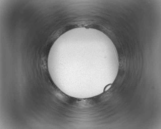 X0000064740430200603031712