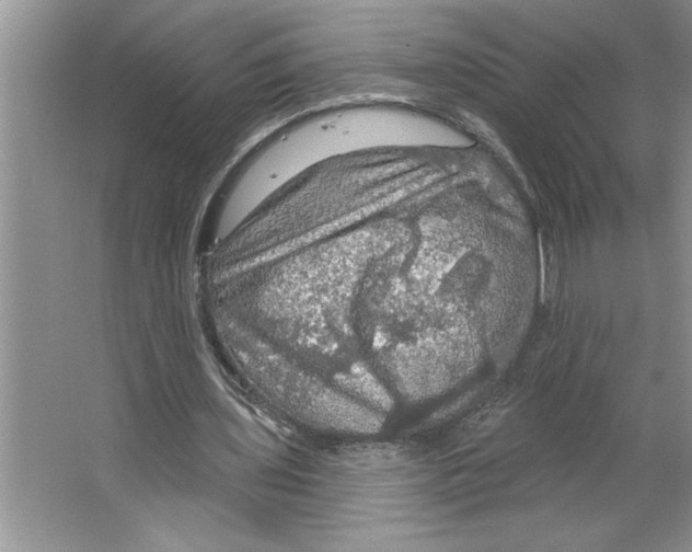 X0000064740435200603031711