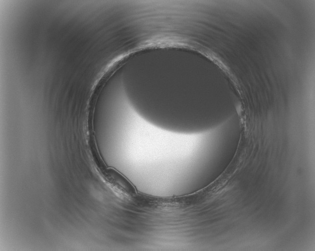 X0000064740438200603031711