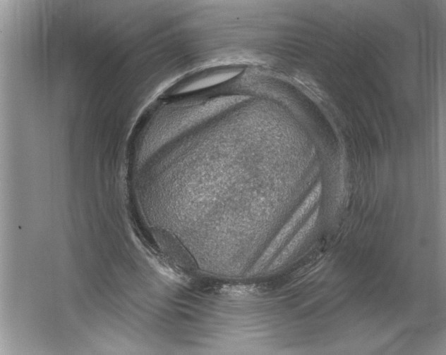 X0000064740440200603031711