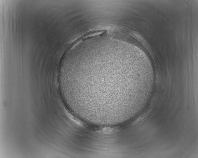 X0000064740441200603031711