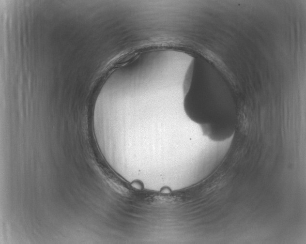 X0000064740442200603031711