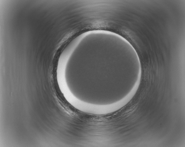 X0000064740443200603031711