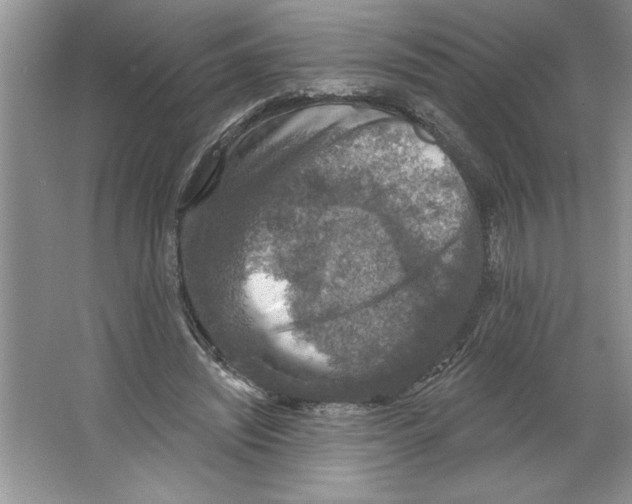 X0000064740444200603031712