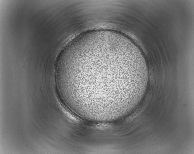 X0000064740445200603031712