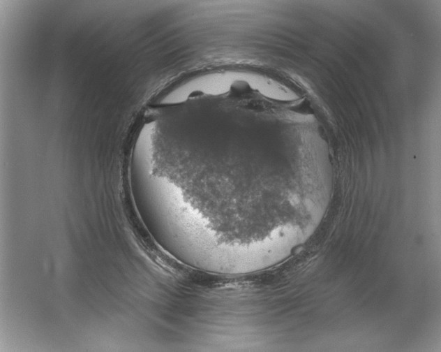 X0000064740447200603031712