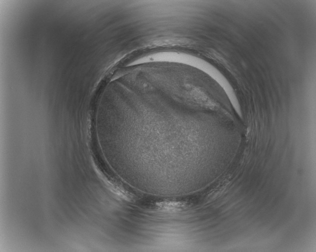 X0000064740448200603031712