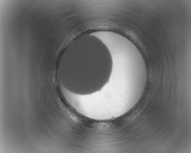 X0000064740449200603031712