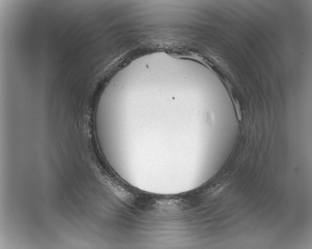 X0000064740450200603031712