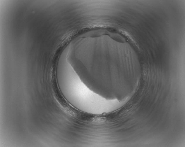 X0000064740451200603031712