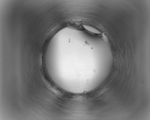 X0000064740454200603031712